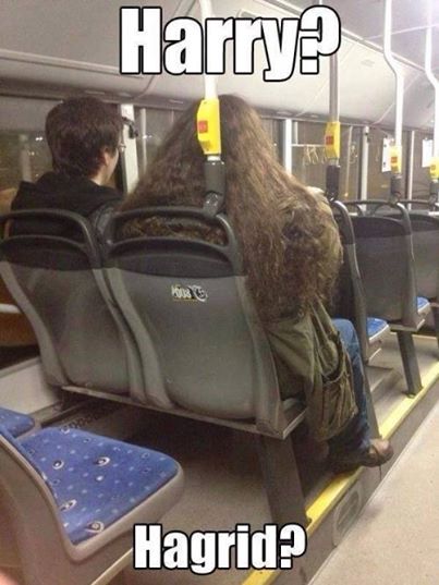 Harry és Hagrid