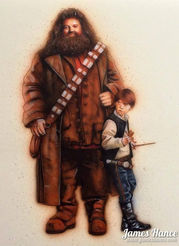 harry-potter-and-star-wars-mashup-art-by-james-ha