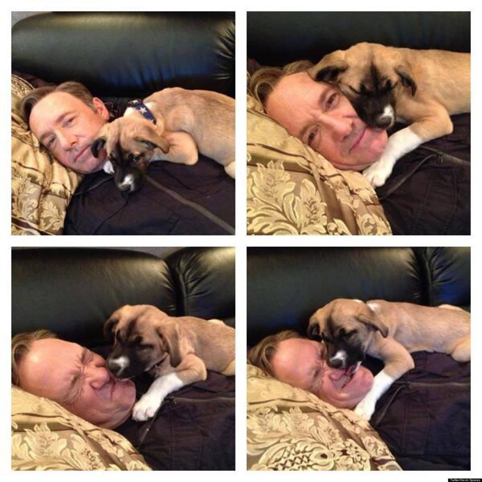 Kevin Spacey és a kutya