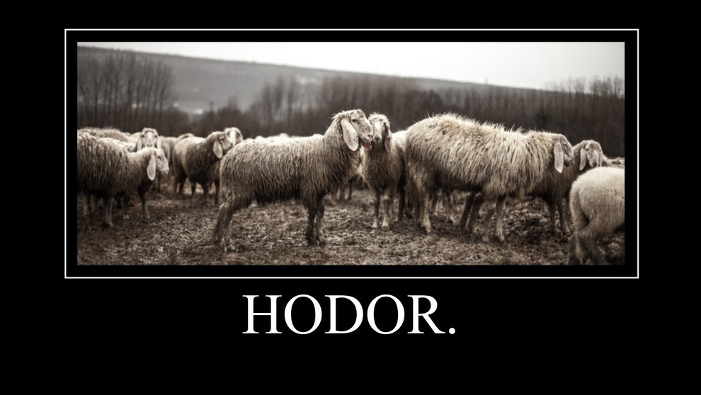 Hodor6
