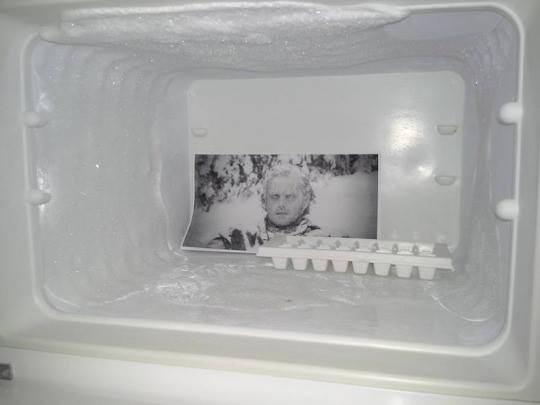 Jack a hűtőben