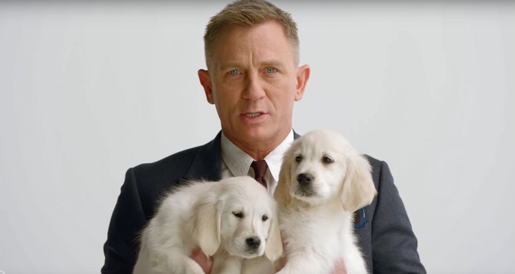 daniel craig and puppies team up with omaze social