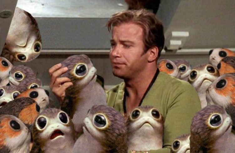heres a large and ridiculous collection of porg humor that has flooded the internet53