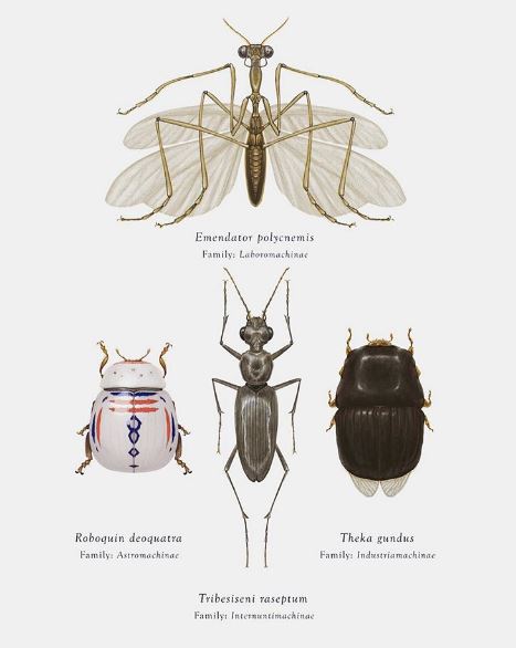 A rovarok által inspirált EXO szék - Kinyitható És Szék - 2021