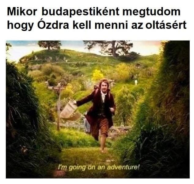 ozd