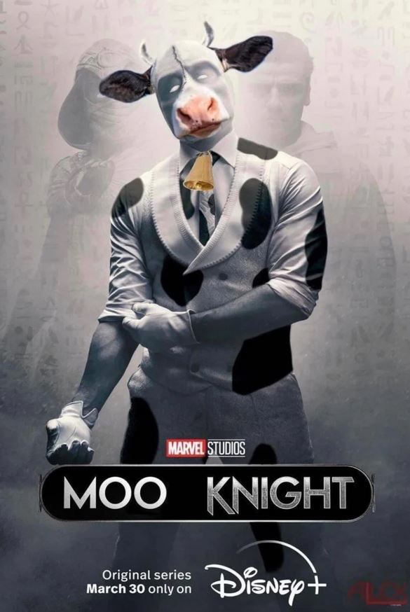 moo knight