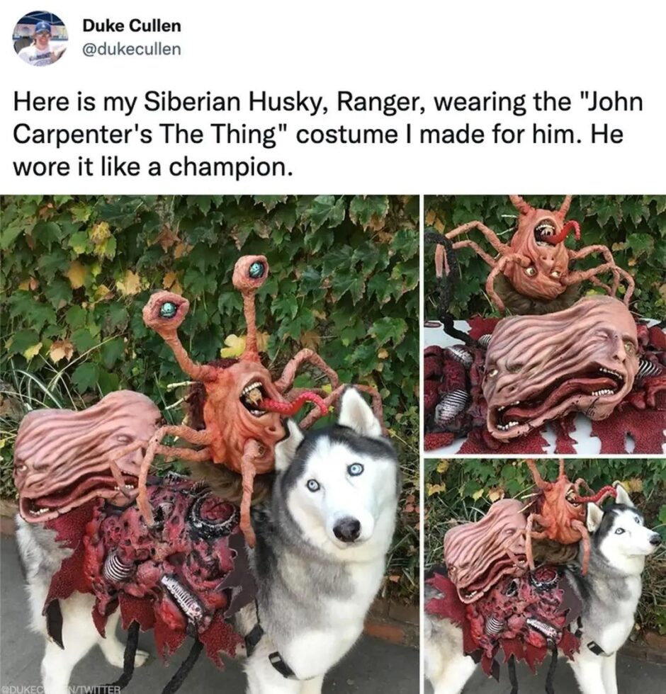 A hét röhögései (573.) 10 dolog