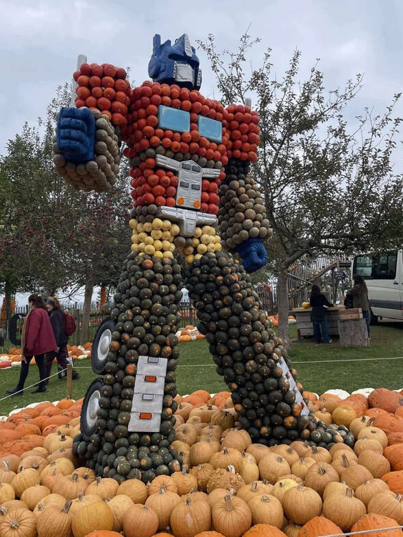 A hét röhögései (573.) 6 tok