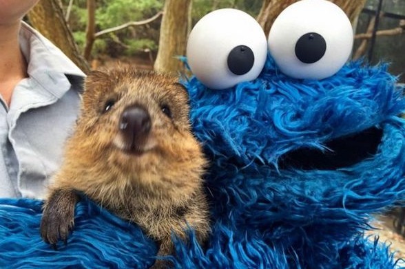 A hét röhögései (577.) 14 sesame