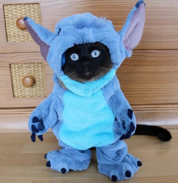 A hét röhögései (576.) 44 stich