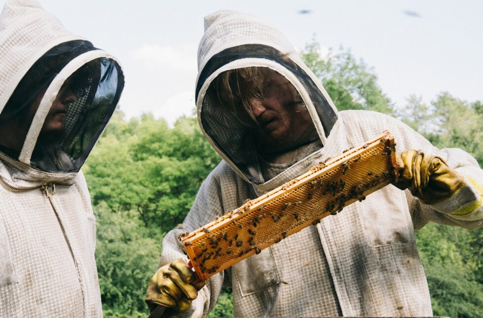 Bugonia - kritika 2 ugonia 3