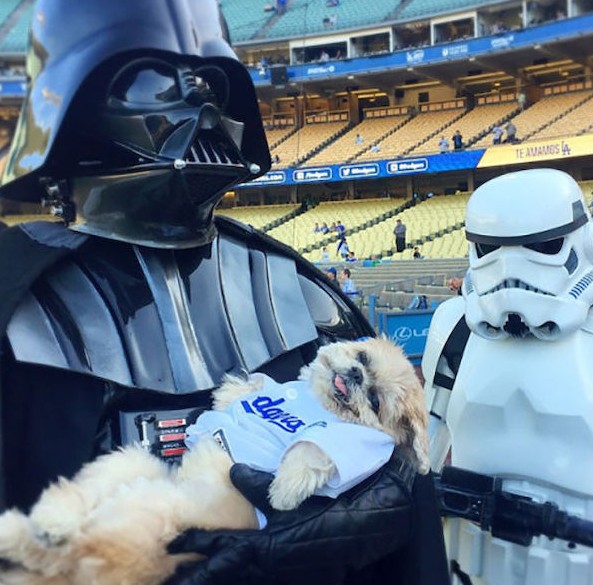 A hét röhögései (593.) 18 kutya