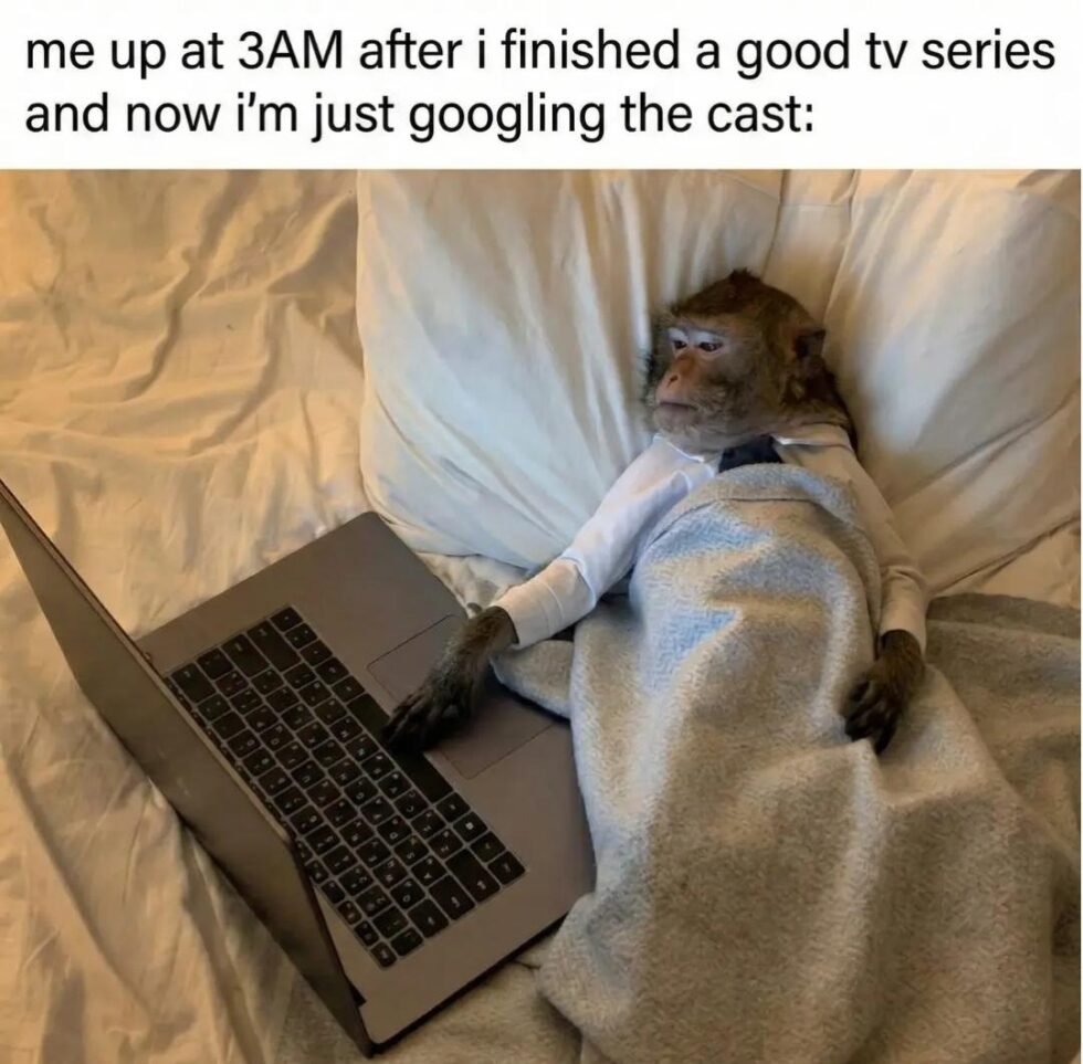 A hét röhögései (593.) 17 majom