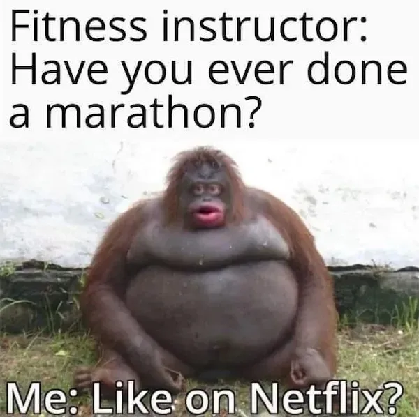 A hét röhögései (593.) 13 majom