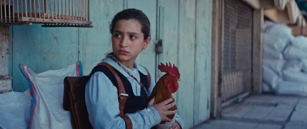 Az elnök tortája - kritika 1 az elnok tortaja 4